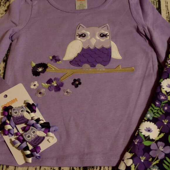 Gymboree Whooo's Cute 4T Leggings Owl Long Sleeve Shirt Hair Curly Clips Outfit - Picture 3 of 3